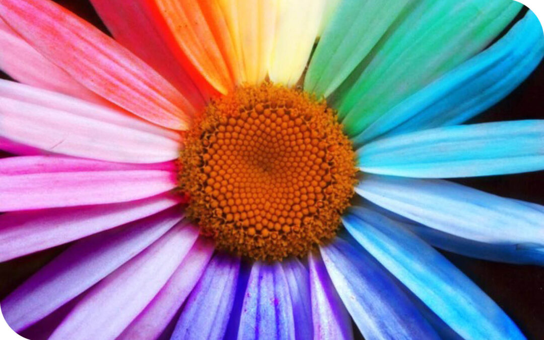 Colour Psychology – understand why colour really can affect how you feel